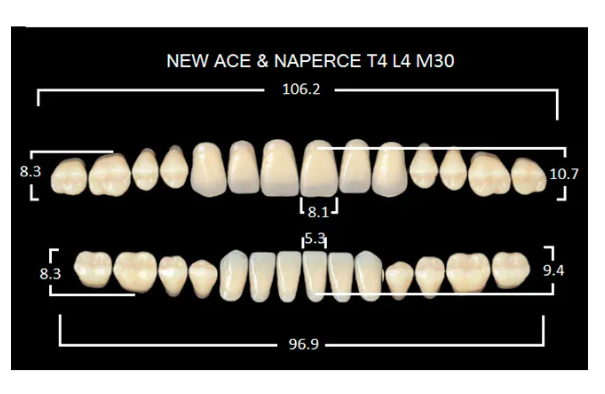 Зубы пластмассовые CLORIA NEW ASE фасон T4, цвет A3 (гарнитура-28шт)