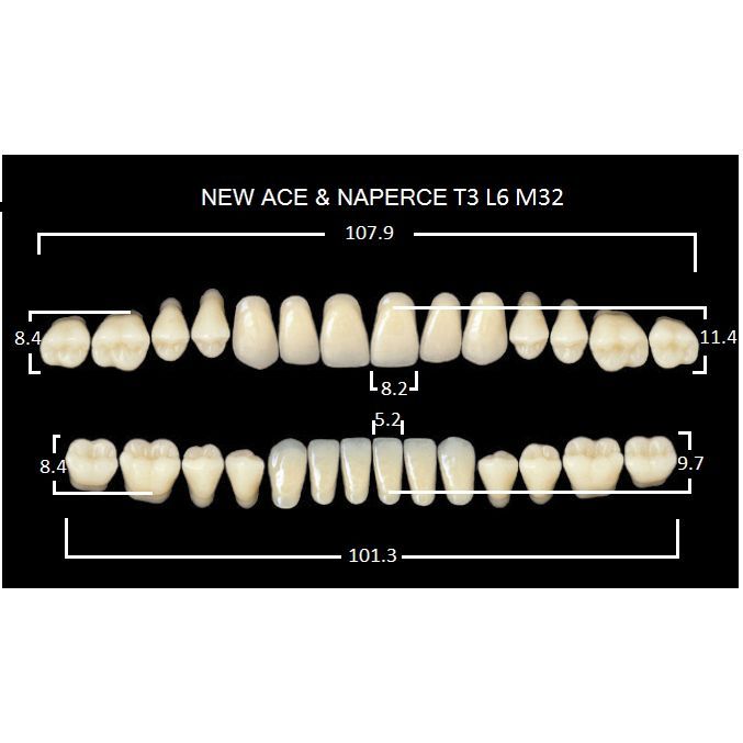 Гарнитур жеват.зубов, Низ, А2 L32. Artic 8